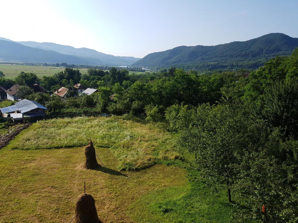 Călimăneşti Pensiunea Adeluta Apartament מראה חיצוני תמונה